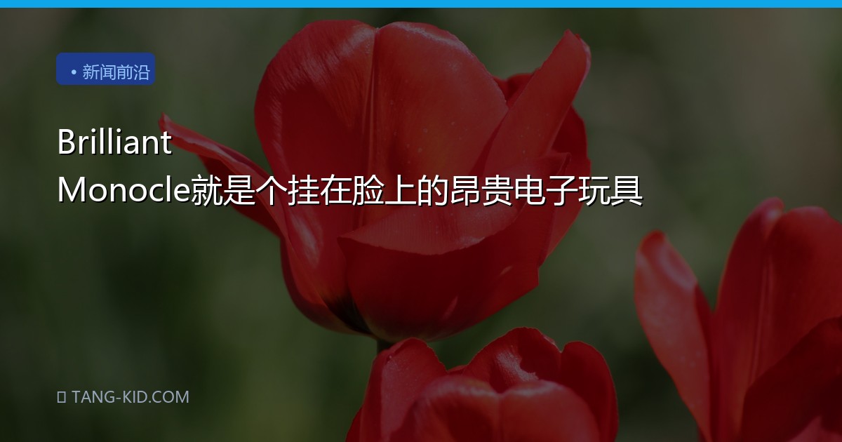 Brilliant Monocle就是个挂在脸上的昂贵电子玩具